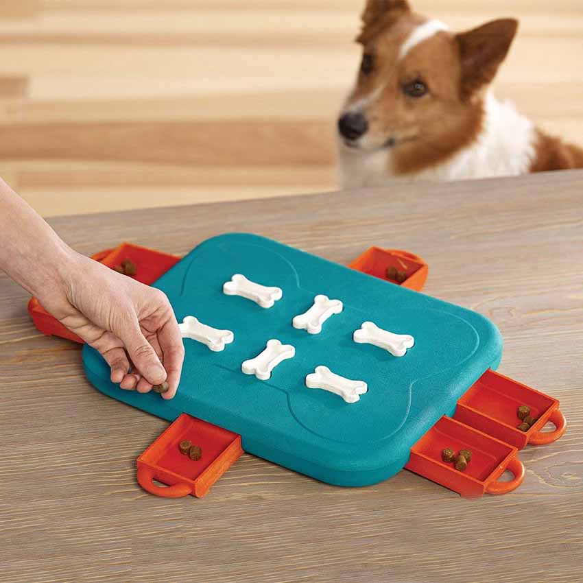 Interactive Puzzle Game Pet Food Feeder